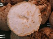 8 důvodů, proč by celer neměl chybět ve vašem jídelníčku – s tělem dělá neuvěřitelné věcí!